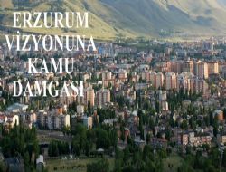 Yatırımda kamu farkı